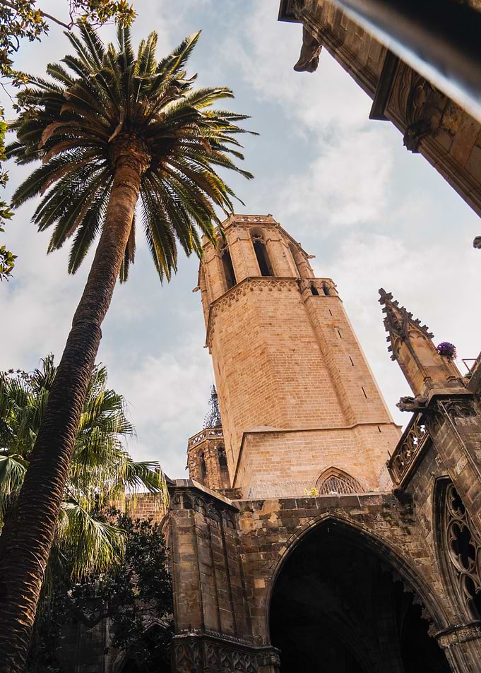 Gothic Cathedral Tower and Palm Tree