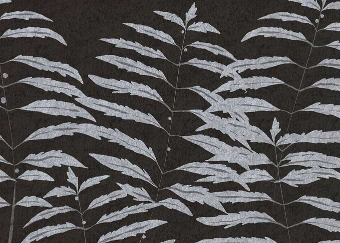 Silver Fern Leaves on Dark Background