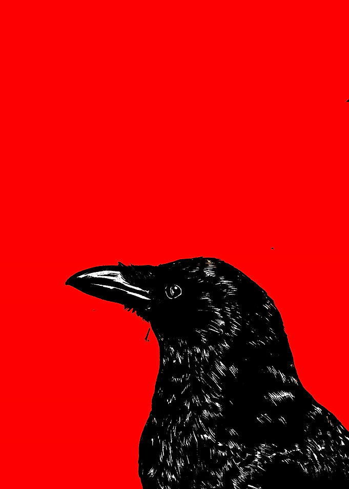 Minimalist Black Crow on Red Background