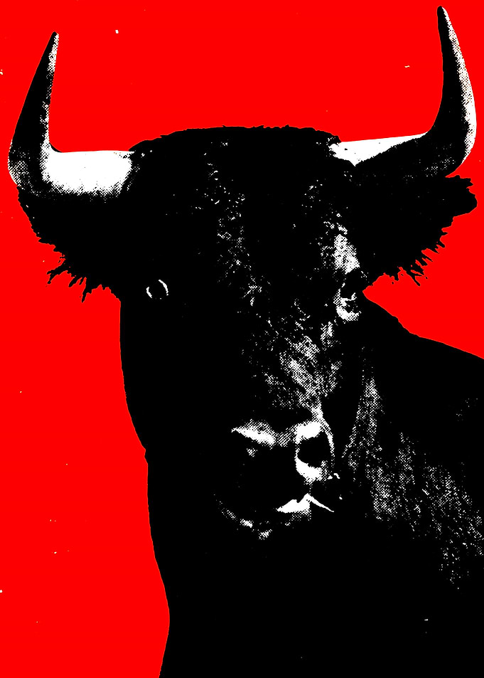 Bold Black Bull on Red Background
