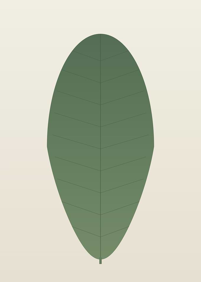 Minimalist Botanical Leaf - Sage Green Rubber Plant Wall Art