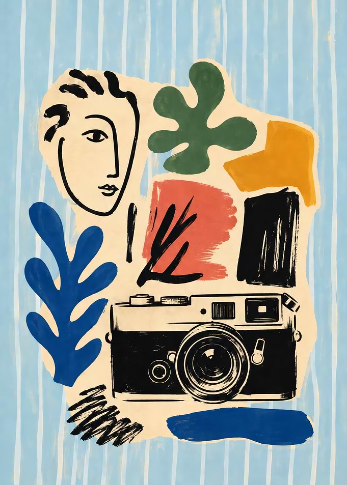 Matisse Style Camera Collage Art