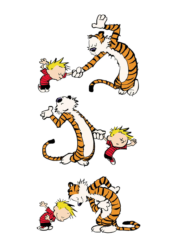 Calvin and Hobbes Playful Poses