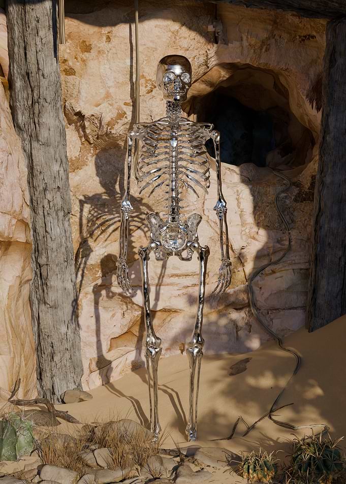 Desert Skeleton
