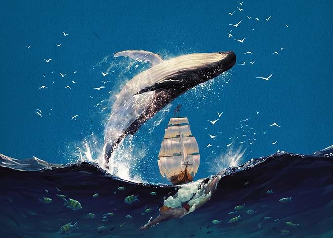 Humpback Whale Breaching Near Sailing Ship