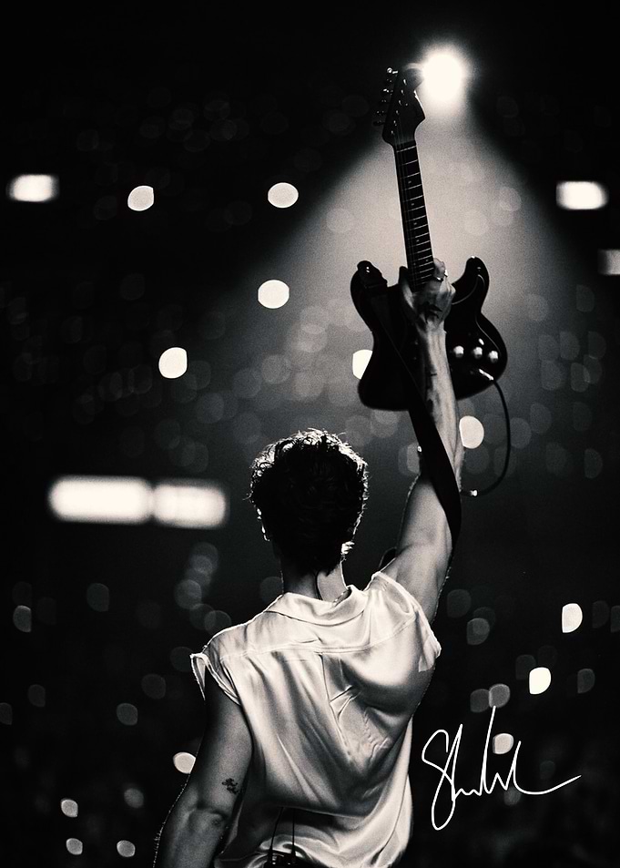 Shawn Mendes Concert Guitar Silhouette