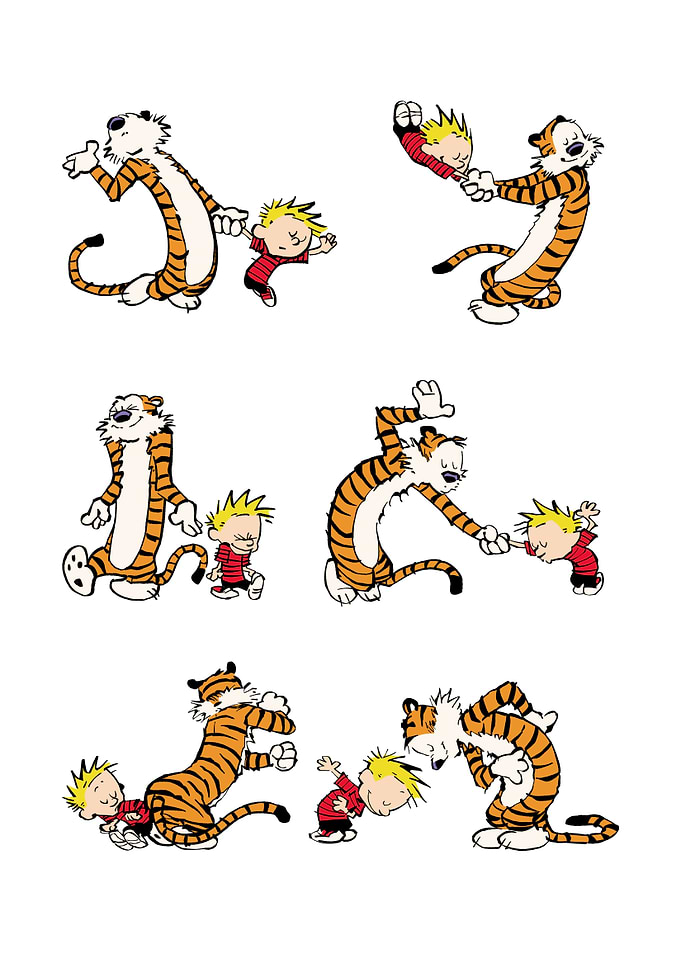 Calvin and Hobbes Playful Poses