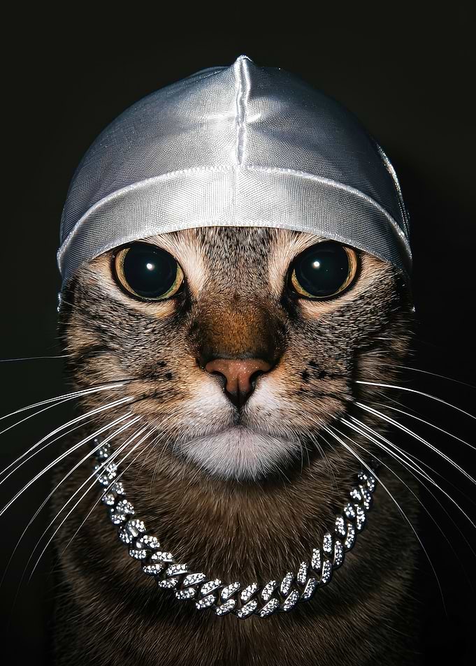 Cool Cat Wearing Durag and Chain