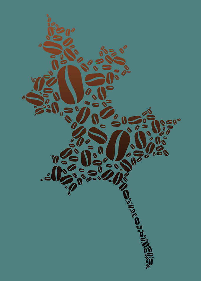 Coffee Bean Maple Leaf Mosaic