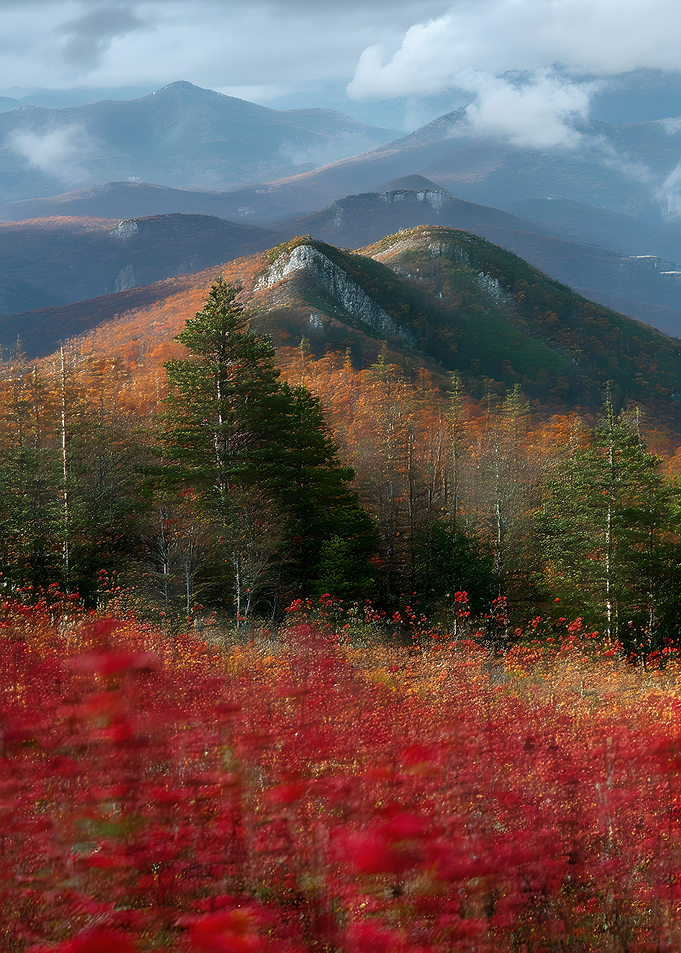 Autumn Mountain Landscape with Red Foliage