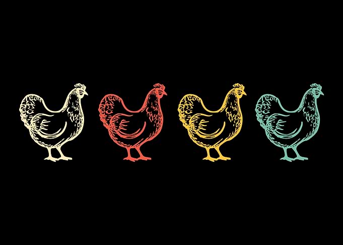 Colorful Retro Chicken Line Art