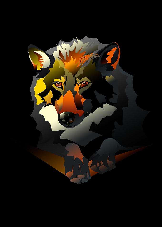 Geometric Wolf Portrait Gold Variant