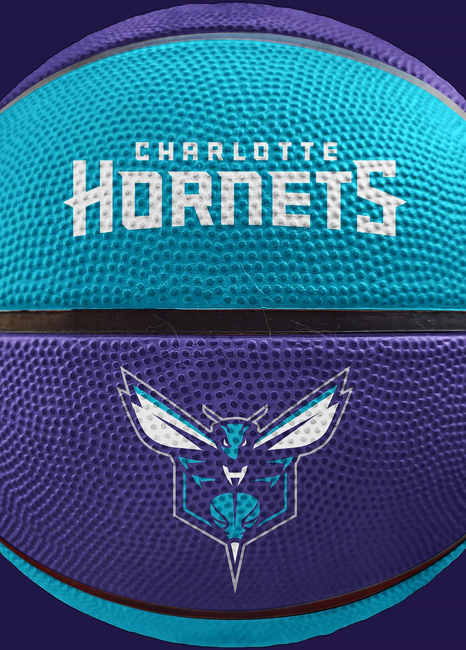 Charlotte Hornets Basketball Emblem