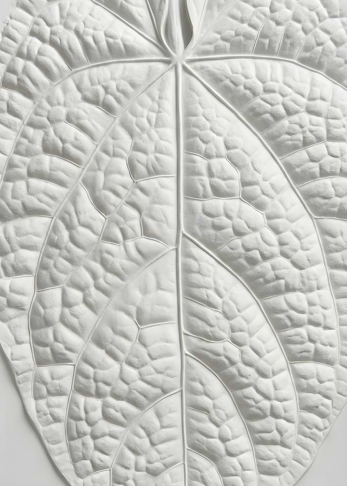 Anthurium Luxurians – Minimalist Gypsum Leaf Art