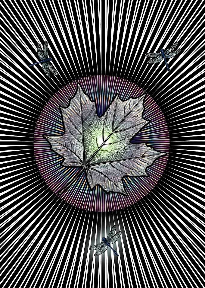 Abstract Maple Leaf and Dragonflies