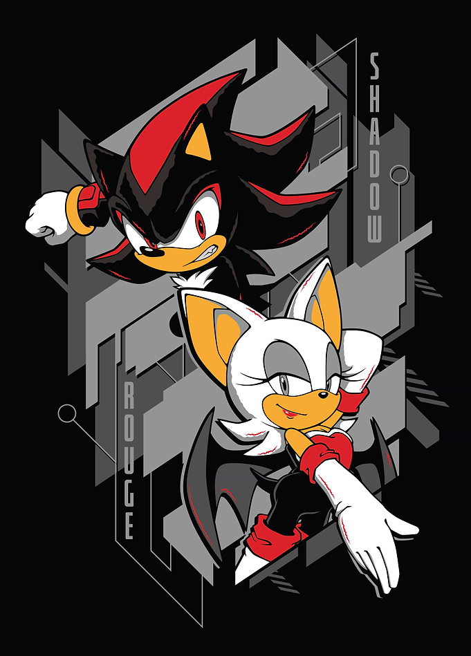 Shadow and Rouge: Dynamic Duo