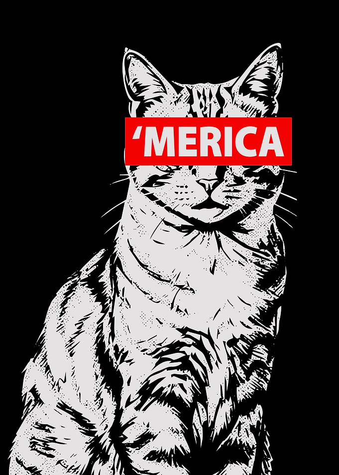 American Cat Graphic Art
