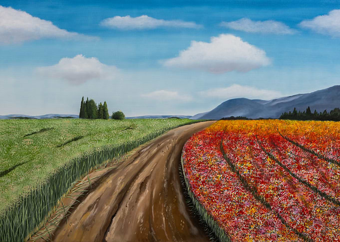 Dirt Road Through Vibrant Fields