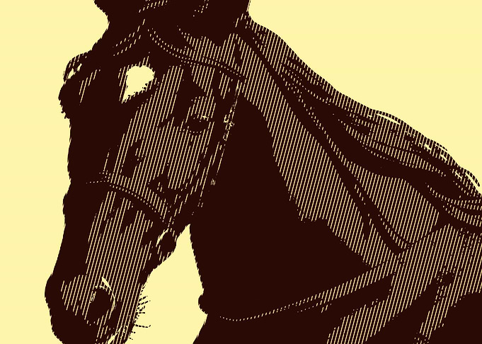 Engraved Style Horse Portrait