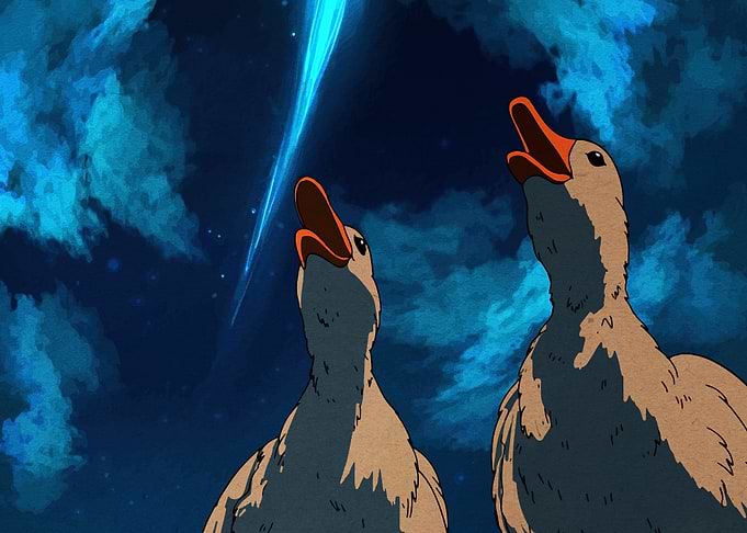 Ducks Watching a Shooting Star