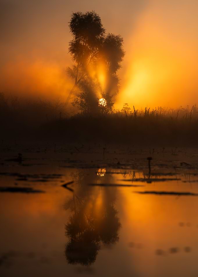Golden Sunrise Over Misty Lake