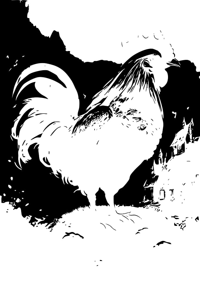High Contrast Rooster Silhouette Illustration