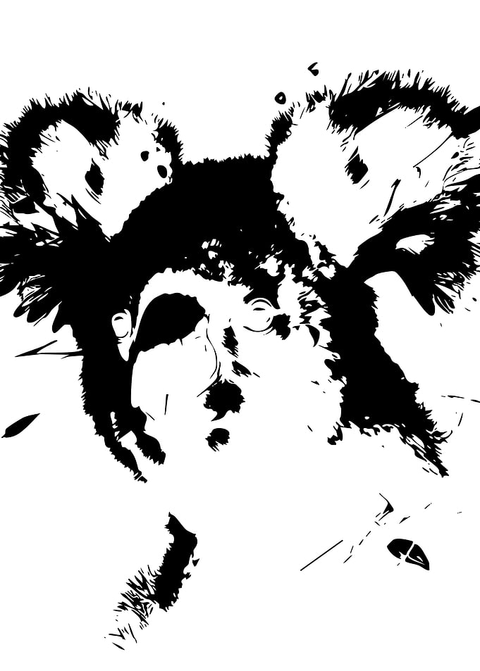 Minimalist Black and White Koala Portrait