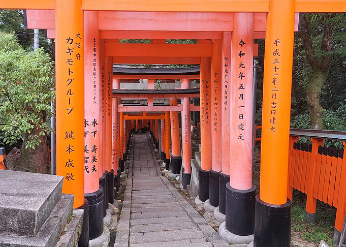 Vibrant Torii Gate Path in Japan