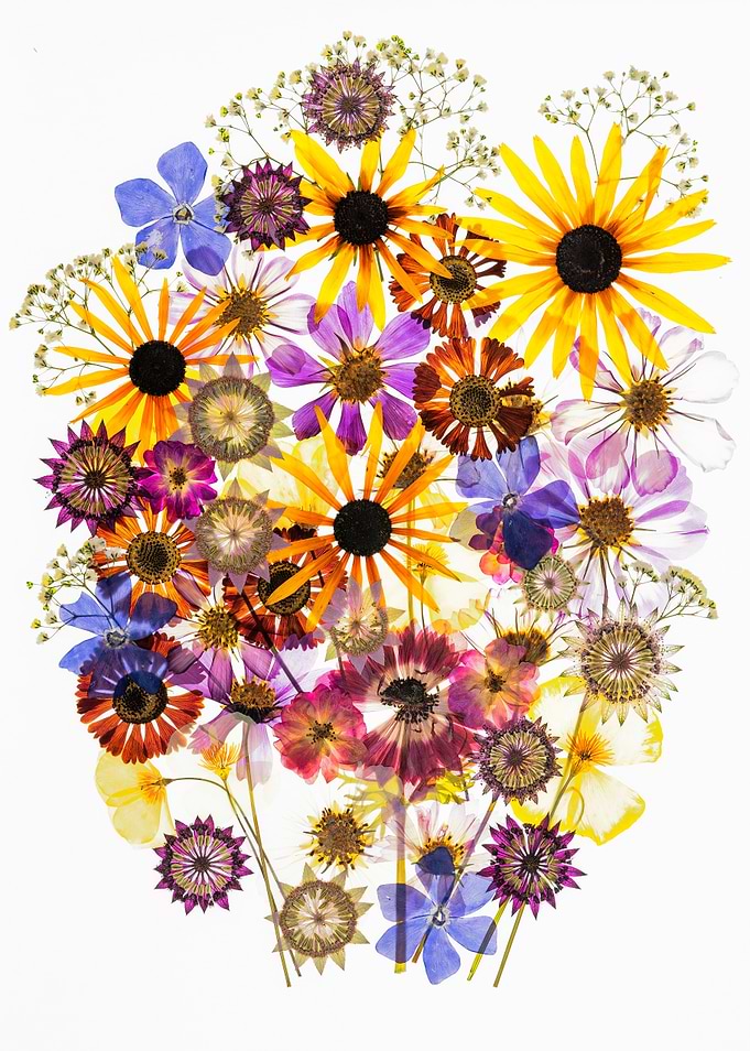 Pressed Wildflower Bouquet Arrangement