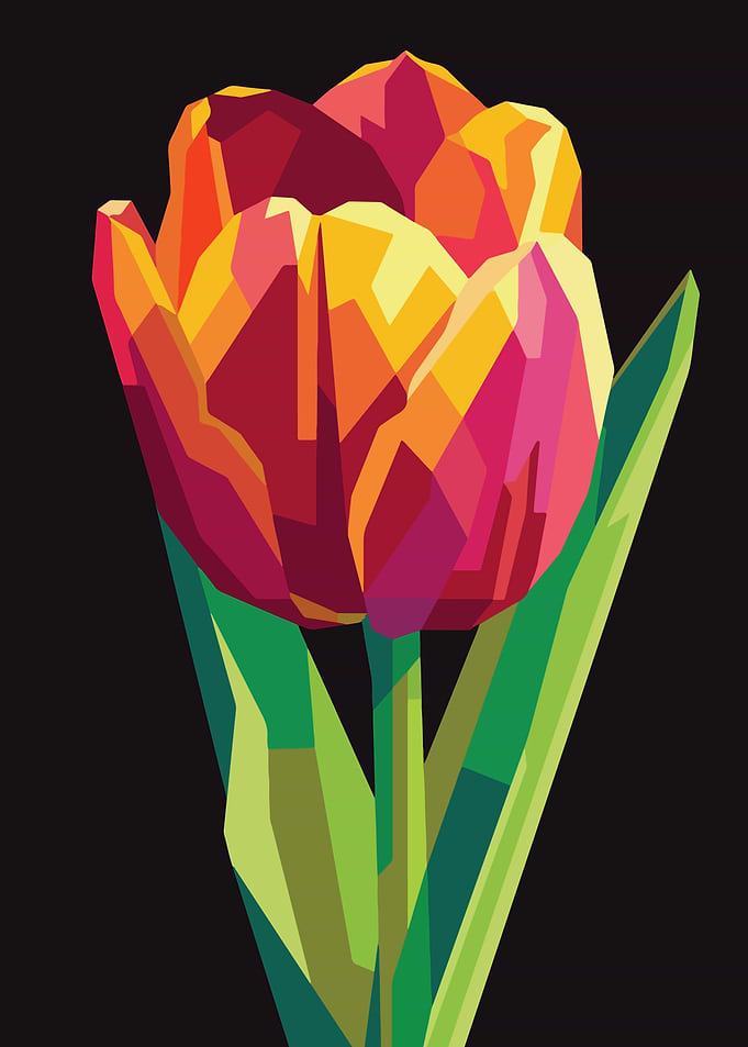 Pop Art Style Tulip Illustration