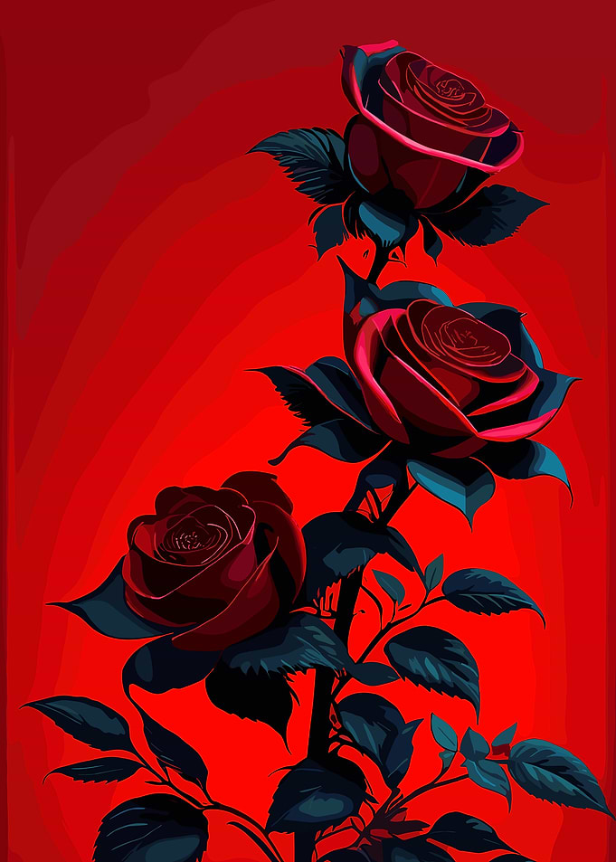 Three Dark Red Roses Illustration
