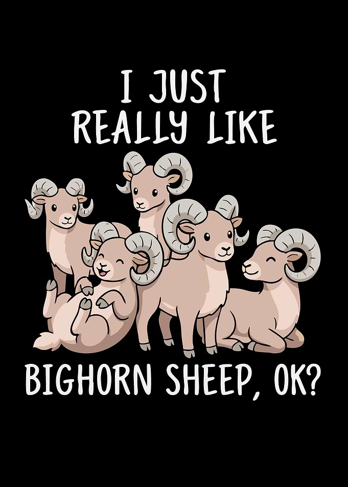 I Just Really Like Bighorn Sheep