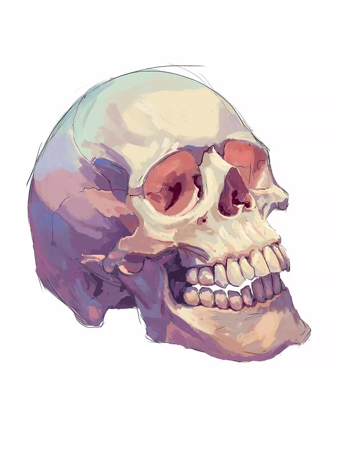 Skully