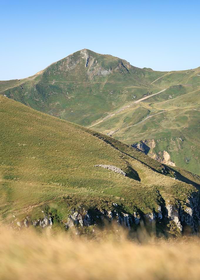 Puy de Sancy, Auvergne - Sheep Grazing on Green Mountain Slope