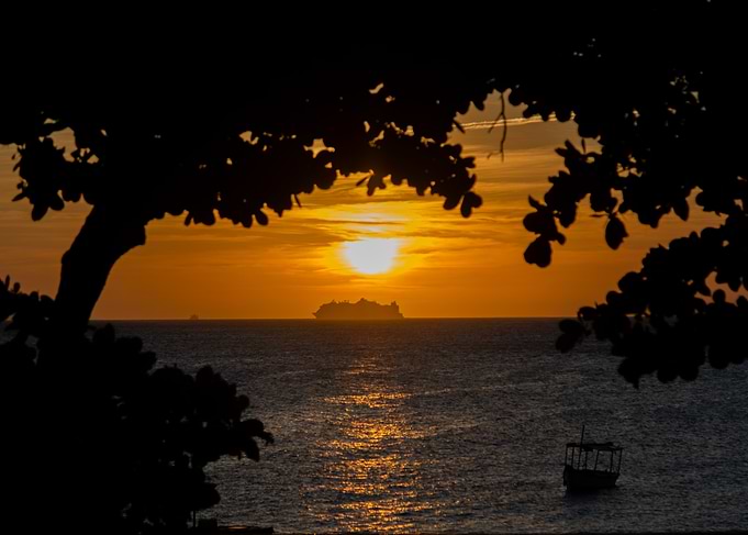 Sunset View Through Tree Branches