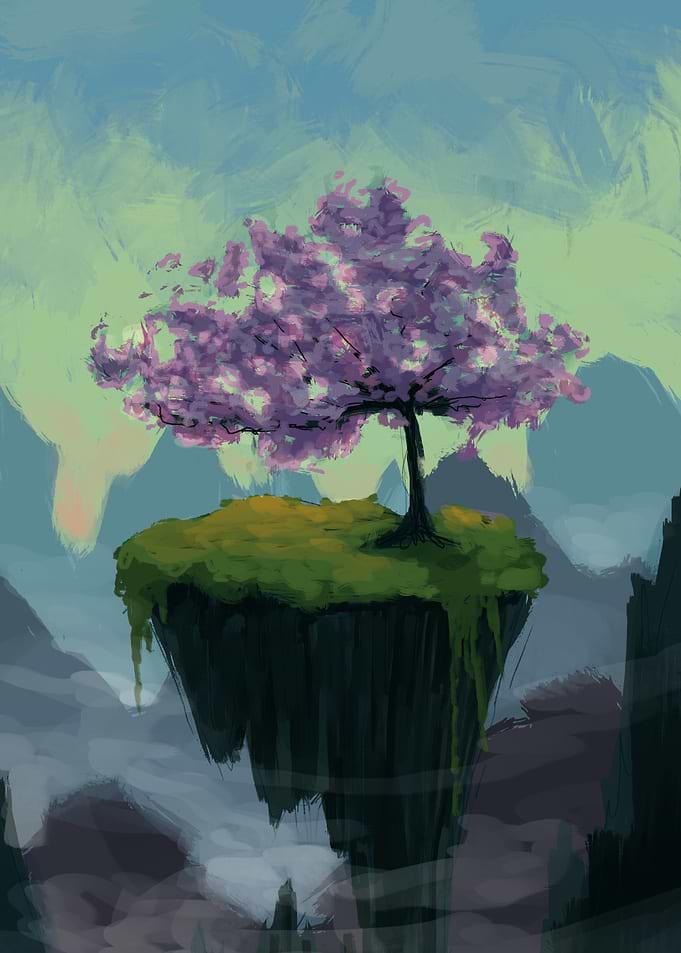 Cherry tree