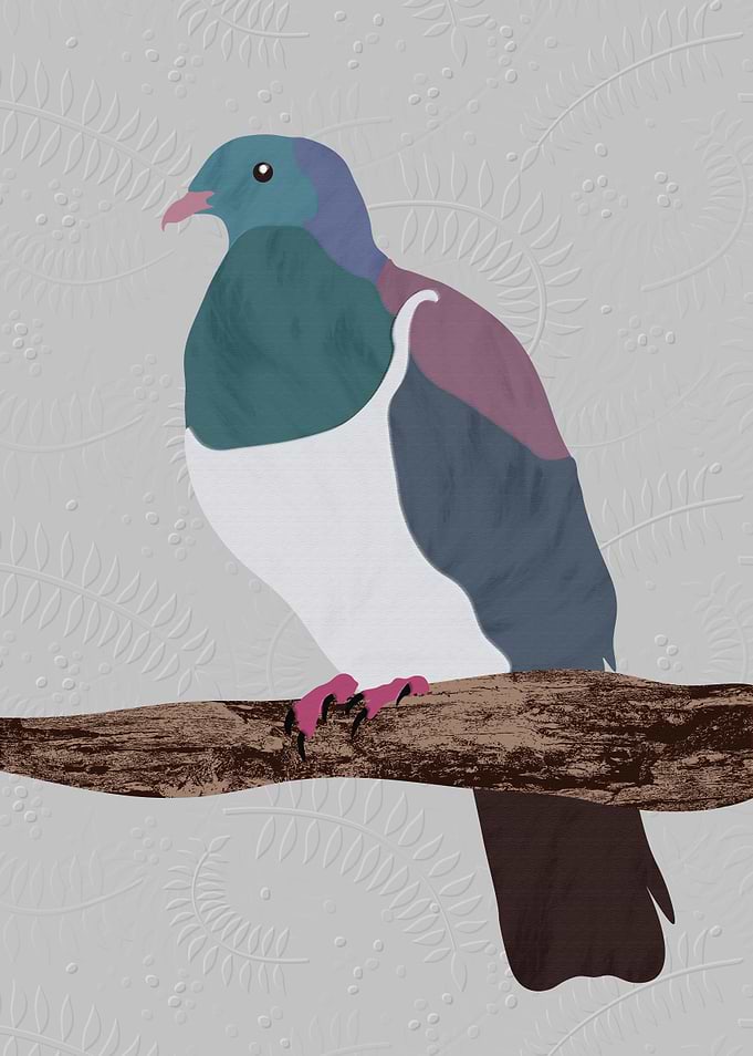 New Zealand Kereru Bird Illustration