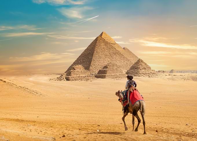 Egypt Camel at Giza Pyramids