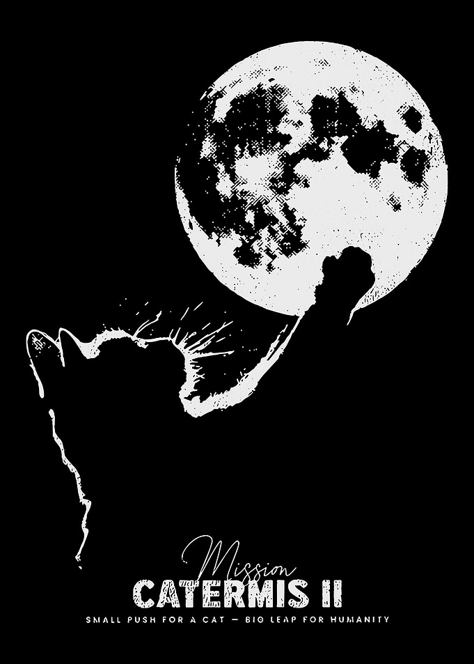 Mission Catermis II Cat Moon Poster