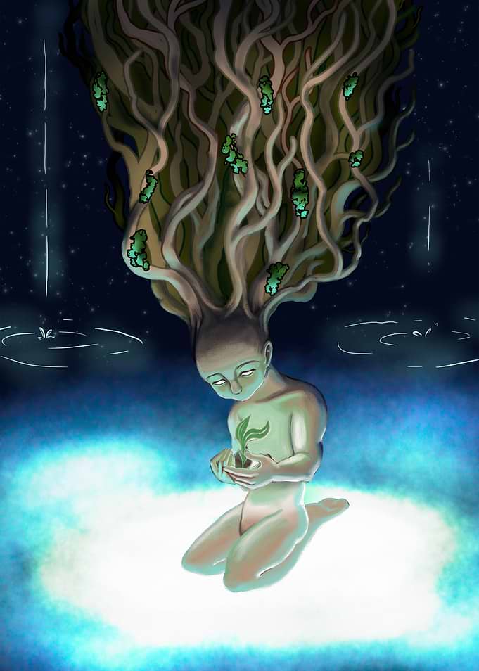 Secret of the Forest