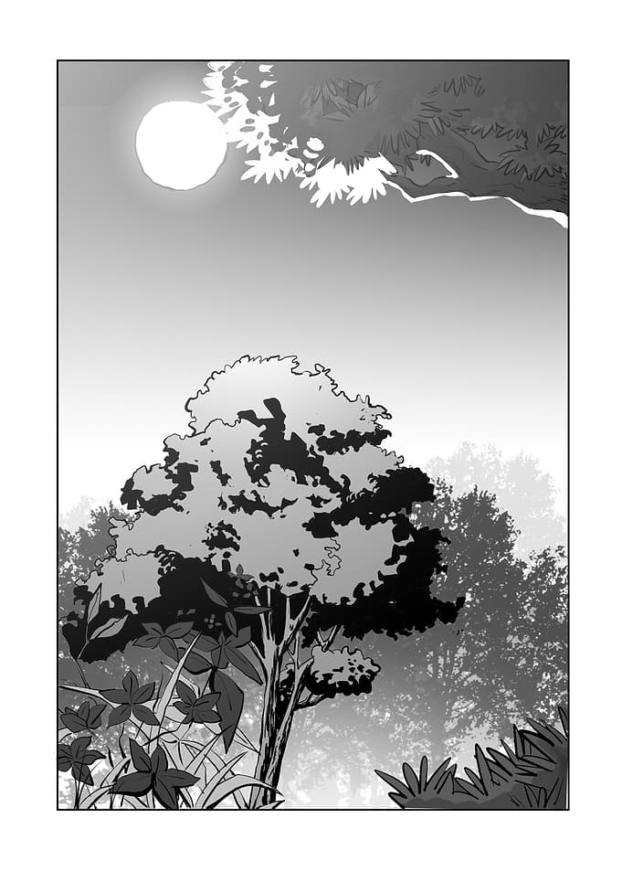 Manga Style Forest Night Scene