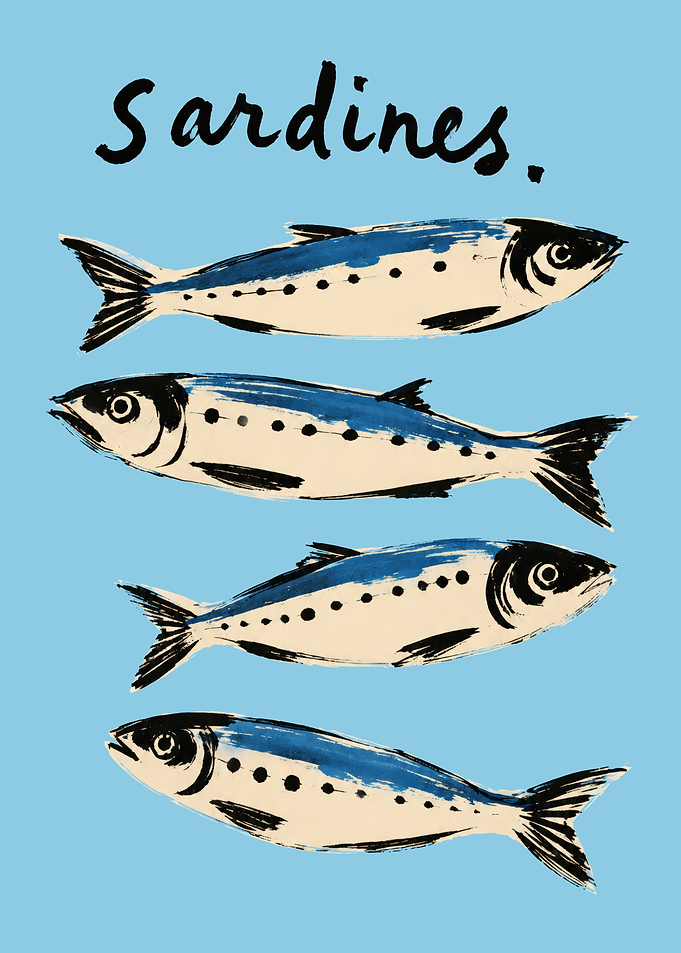 Minimalist Sardines Illustration