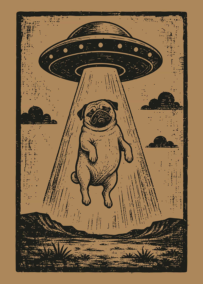 Pug Abducted by UFO