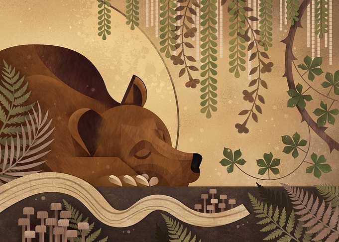 Sleeping Bear in Forest Illustration