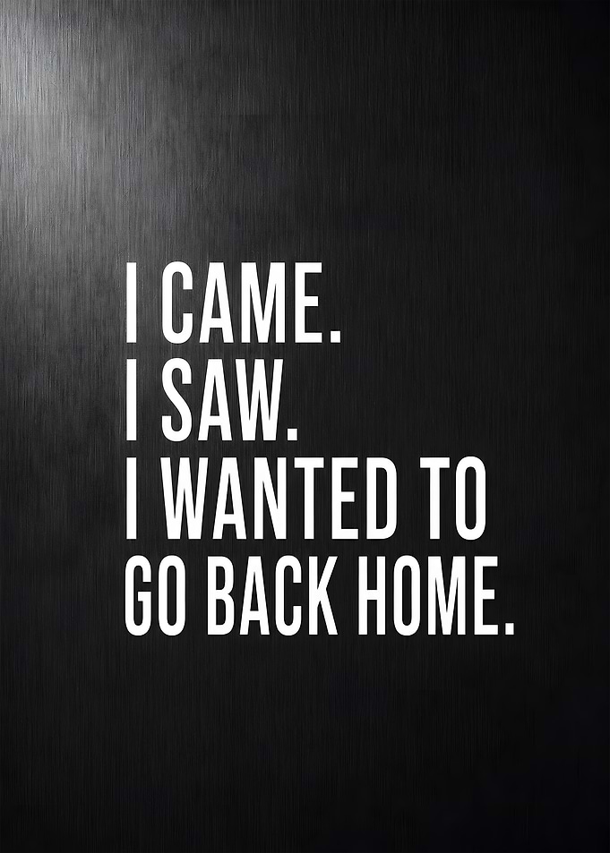 I Came I Saw I Wanted To Go Back Home