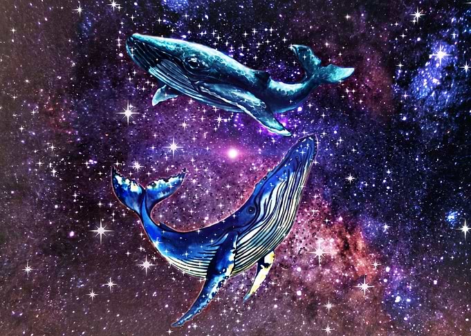 Two Whales Swimming in Deep Space