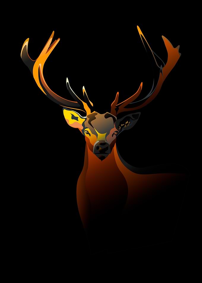 Geometric Stag Portrait Gold Variant