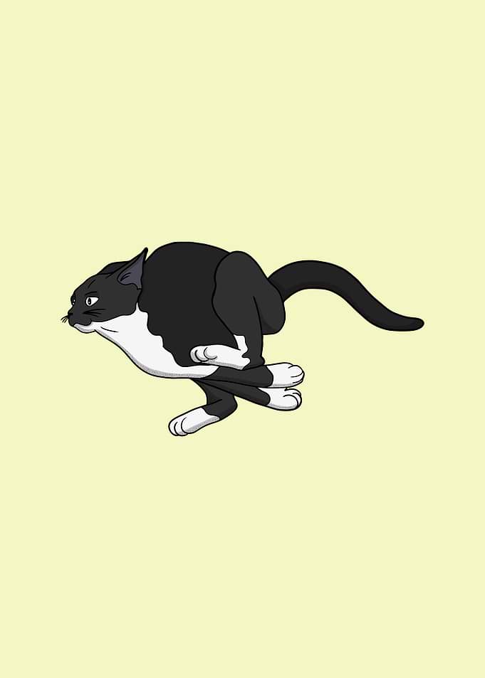 Running Tuxedo Cat Illustration