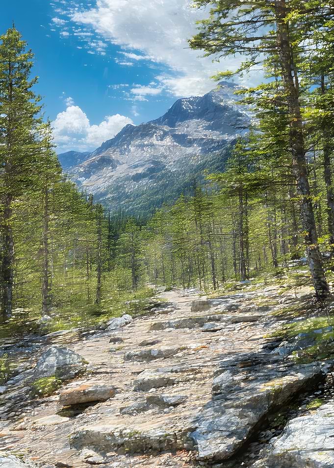Mountain Trail Through Pine Forest