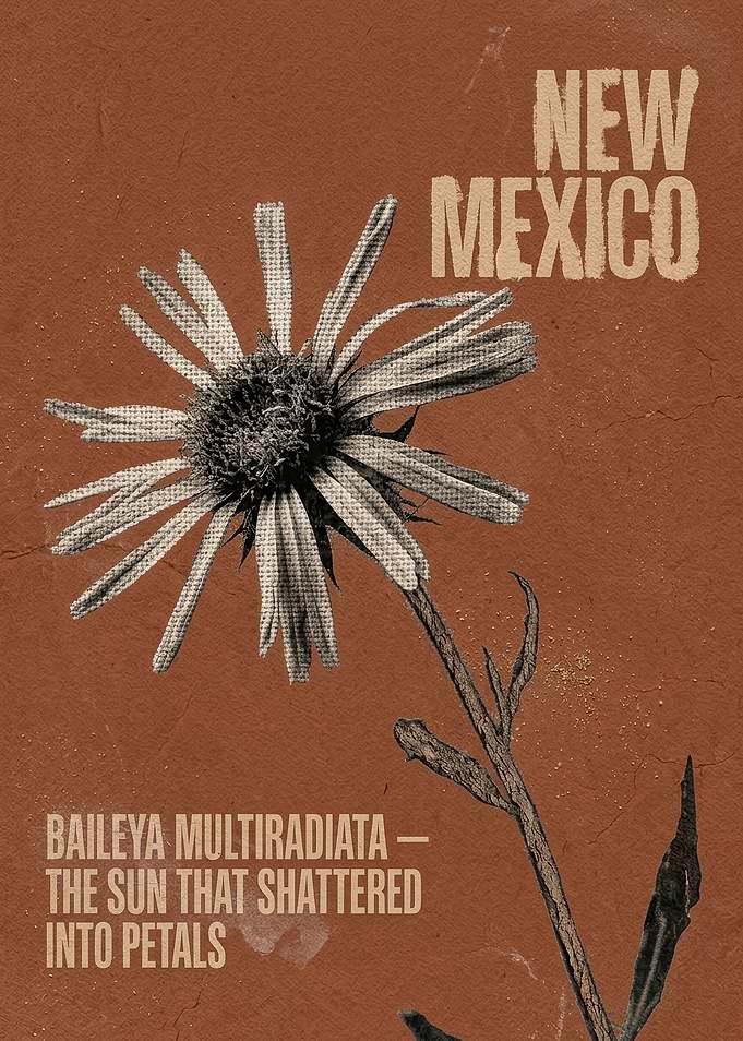 New Mexico Desert Flower Poster